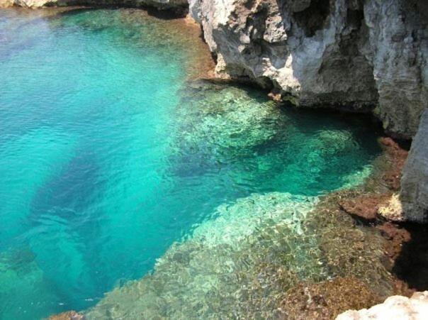 Villa Il Faro プレンミリオ エクステリア 写真